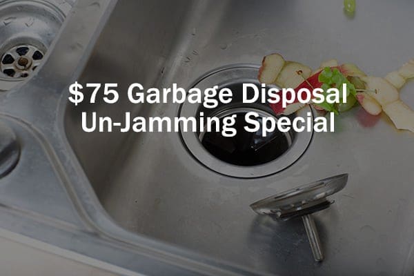 75 Dollar Garbage Disposal Un-Jamming Special